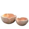 2er Set Blumenschalen - Terrakotta - Tulpenform - Cornelle -Pflanz Traum Verkaufsgeschäft 2er set blumenschalen terrakotta tulpenform cornelle