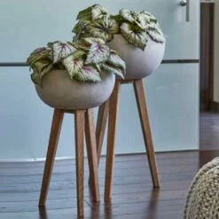 2er Set Pflanzschale Mit Holzfuß - Modern & Leicht - Pico