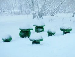 3 Steinpilze Im Set - Topiary - GFK & Kunstrasen - Boletus Set 7 3 Steinpilze Im Set - Topiary - GFK & Kunstrasen - Boletus Set -Pflanz Traum Verkaufsgeschäft 3 steinpilze im set topiary gfk kunstrasen boletus set3