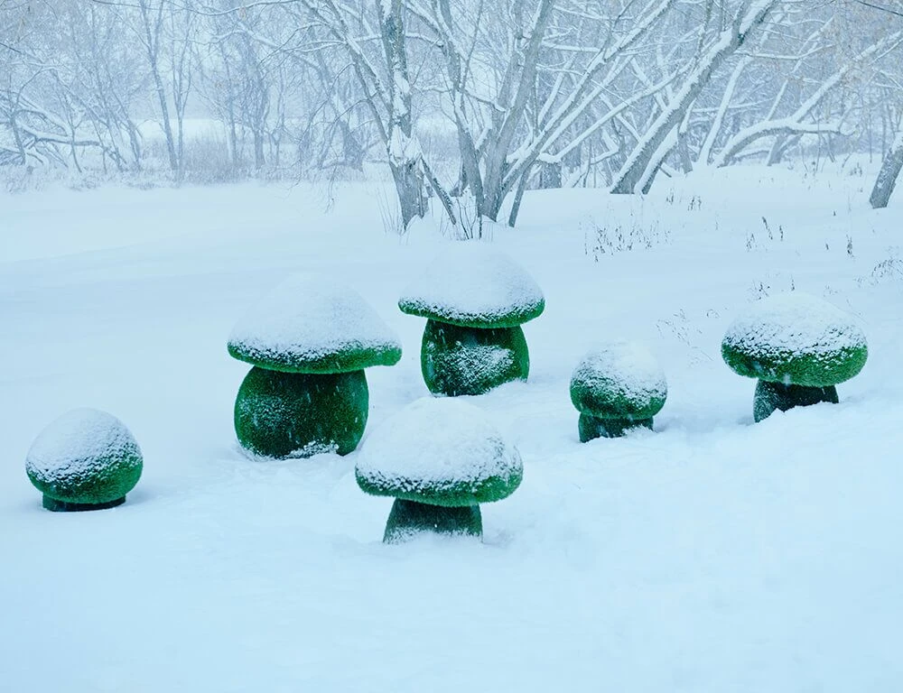 3 Steinpilze Im Set - Topiary - GFK & Kunstrasen - Boletus Set 5 3 Steinpilze Im Set - Topiary - GFK & Kunstrasen - Boletus Set – Bild 3