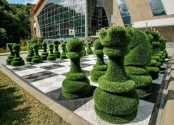 32-teiliges Schachfiguren Set - Topiary - GFK & Kunstrasen - Schach Set -Pflanz Traum Verkaufsgeschäft 32 teiliges schachfiguren set topiary gfk kunstrasen schach set4