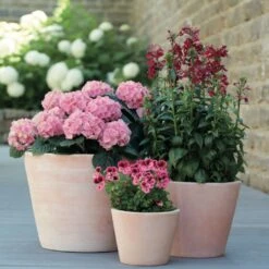 3er Set Blumentöpfe - Rund - Terrakotta - Kalifa