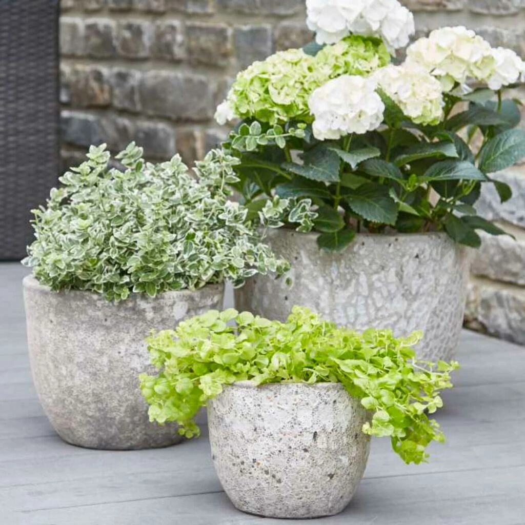 3er Set Garten Pflanzkübel Im Antik Look - Sutera 3 3er Set Garten Pflanzkübel Im Antik Look - Sutera