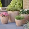 4er Set Outdoor Pflanzkübel - Terrakotta - Rund - Mabee -Pflanz Traum Verkaufsgeschäft 4er set outdoor pflanzkuebel terrakotta rund mabee