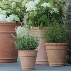 5er Set Pflanztöpfe - Terrakotta - Rund - Amabilia