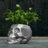 Außergewöhnlicher Totenschädel-Blumentopf Aus Beton - Gauguin -Pflanz Traum Verkaufsgeschäft aussergewoehnlicher totenschaedel blumentopf aus beton gauguin