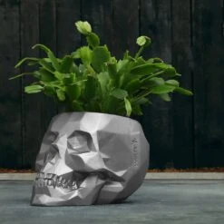 Außergewöhnlicher Totenschädel-Blumentopf Aus Beton - Gauguin