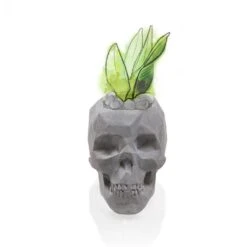 Außergewöhnlicher Totenschädel-Blumentopf Aus Beton - Gauguin -Pflanz Traum Verkaufsgeschäft aussergewoehnlicher totenschaedel blumentopf aus beton gauguin3