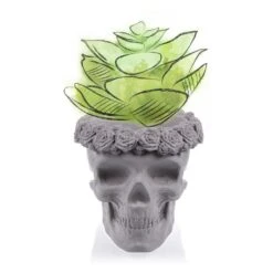 Einzigartiger Pflanztopf Aus Beton - Totenschädel Mit Rosen - Gangain -Pflanz Traum Verkaufsgeschäft einzigartiger pflanztopf aus beton totenschaedel mit rosen gangain3