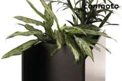 Elegantes Outdoor Pflanzgefäß Aus HPL Anthrazit - Sotomon -Pflanz Traum Verkaufsgeschäft elegantes outdoor pflanzgefaess aus hpl anthrazit sotomon4