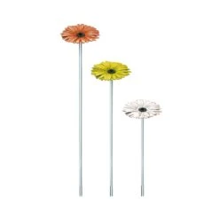 Farbige Bronzeblume Für Den Garten Mit Stiel - Gerbera -Pflanz Traum Verkaufsgeschäft farbige bronzeblume fuer den garten mit stiel gerbera2