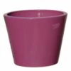 Großer Runder Pflanzkübel Aus Steinzeug - Frostfest - Fuchsia - Votum Roza 1 Großer Runder Pflanzkübel Aus Steinzeug - Frostfest - Fuchsia - Votum Roza -Pflanz Traum Verkaufsgeschäft grosser runder pflanzkuebel aus steinzeug frostfest fuchsia votum roza