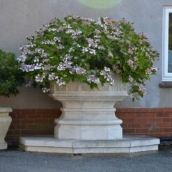 Historischer Pflanztrog Groß XXL - Elstow Abbey -Pflanz Traum Verkaufsgeschäft historischer pflanztrog gross xxl elstow abbey4