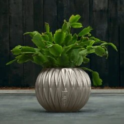 Kugel Pflanzgefäß Aus Beton Im Modernen Design - Kuloha