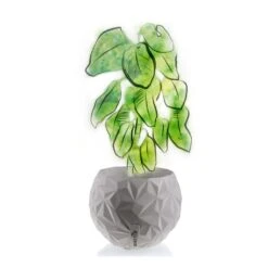 Kugelförmiger Beton Übertopf Für Pflanzen - Modern - Kahlo -Pflanz Traum Verkaufsgeschäft kugelfoermiger beton uebertopf fuer pflanzen modern kahlo3