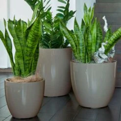 Outdoor Blumenkübel Aus Polystone - Hochglänzend Taupe - Offida