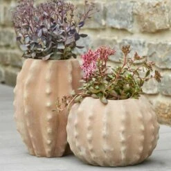 Pflanzkübel Für Draußen - Terrakotta - Rund - Kaktus-Optik - Tiani