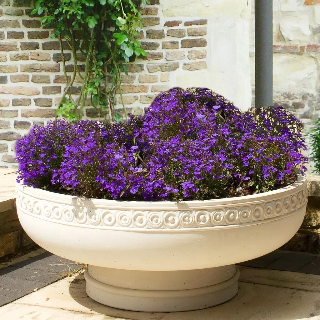 Pflanzschale Historisch Groß XXL - Someries Castle 3 Pflanzschale Historisch Groß XXL - Someries Castle