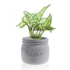 Runder Home-Blumentopf Aus Beton Im Klassischen Design - Mondrin -Pflanz Traum Verkaufsgeschäft runder home blumentopf aus beton im klassischen design mondrin3