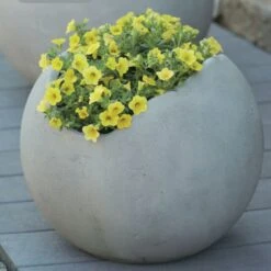 Runder Pflanzkübel Aus Glasfaser-Beton - Modern - Canterano