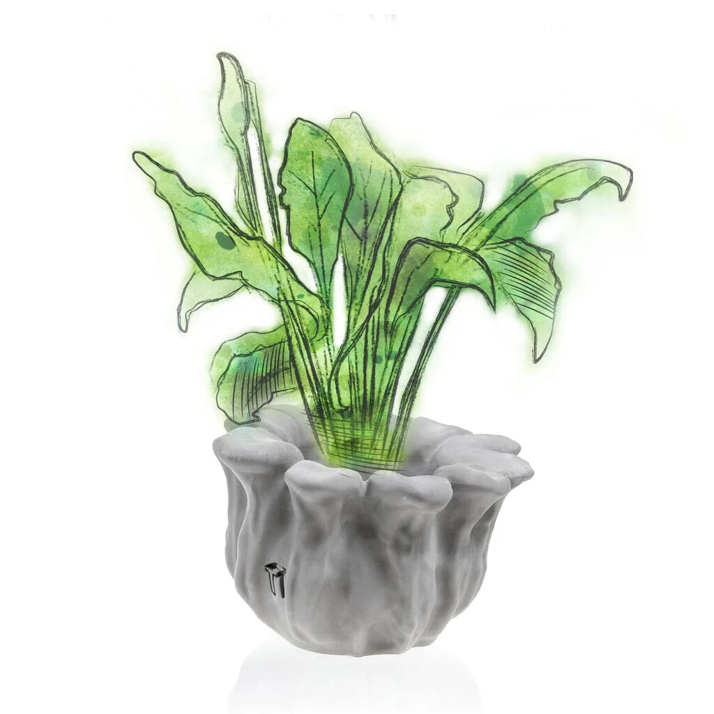 Schöner Blumentopf In Blütenform Aus Architekturbeton - Balla 5 Schöner Blumentopf In Blütenform Aus Architekturbeton - Balla – Bild 3