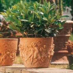 Terrakotta Pflanzgefäß Antik Mit Akt Dekor - Tizian