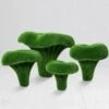 Topiary Pfifferling Set - Rieseige Pilz Gartendeko - Pfiffikus Set 1 Topiary Pfifferling Set - Rieseige Pilz Gartendeko - Pfiffikus Set -Pflanz Traum Verkaufsgeschäft topiary pfifferling set rieseige pilz gartendeko pfiffikus set