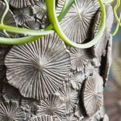 XXL Vase Mit Einsatz - Polystone - Grau - Indoor - Rund - Semere -Pflanz Traum Verkaufsgeschäft xxl vase mit einsatz polystone grau indoor rund semere3