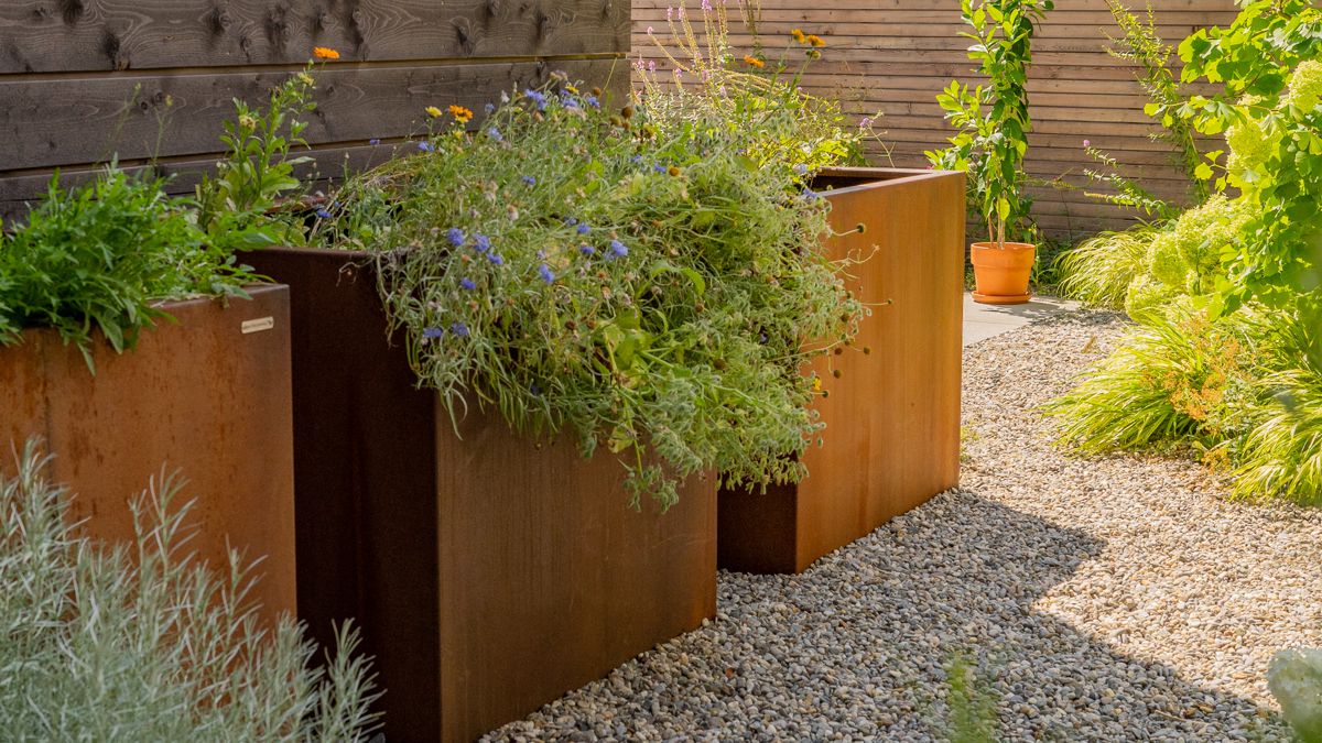 Pflanz Traum Verkaufsgeschäft -Pflanz Traum Verkaufsgeschäft zzzp 47634